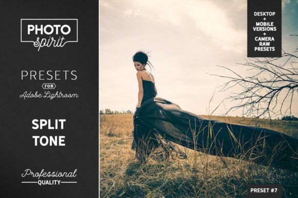 Download Split Tone Presets Mobile + Desktop - Desktop Collection