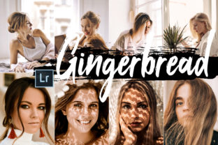 Download 5 Gingerbread Desktop Lightroom Presets - Desktop Collection